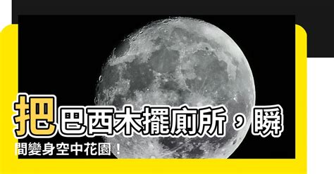 事業長紅意思|【事業長紅意思】 業績長紅，慶祝佳績！ – 每日新聞 Daily News。